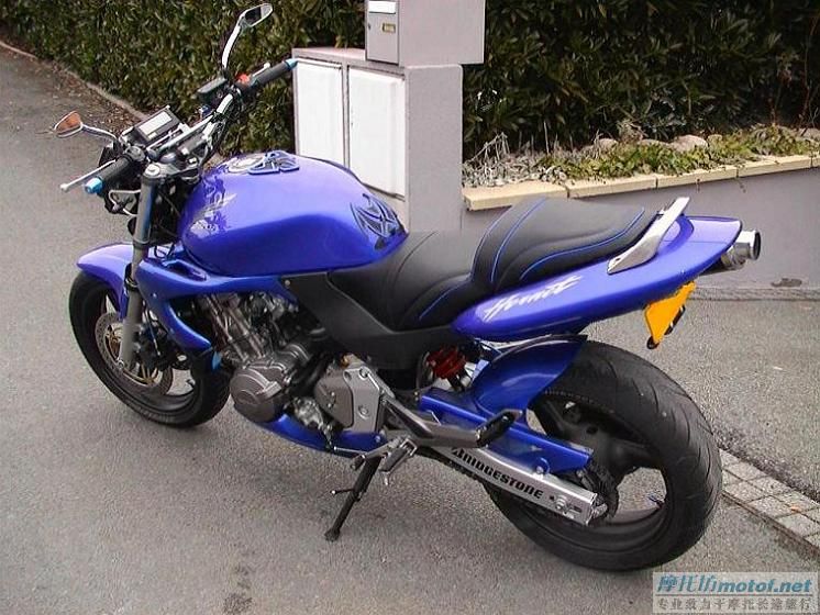 大狂蜂600