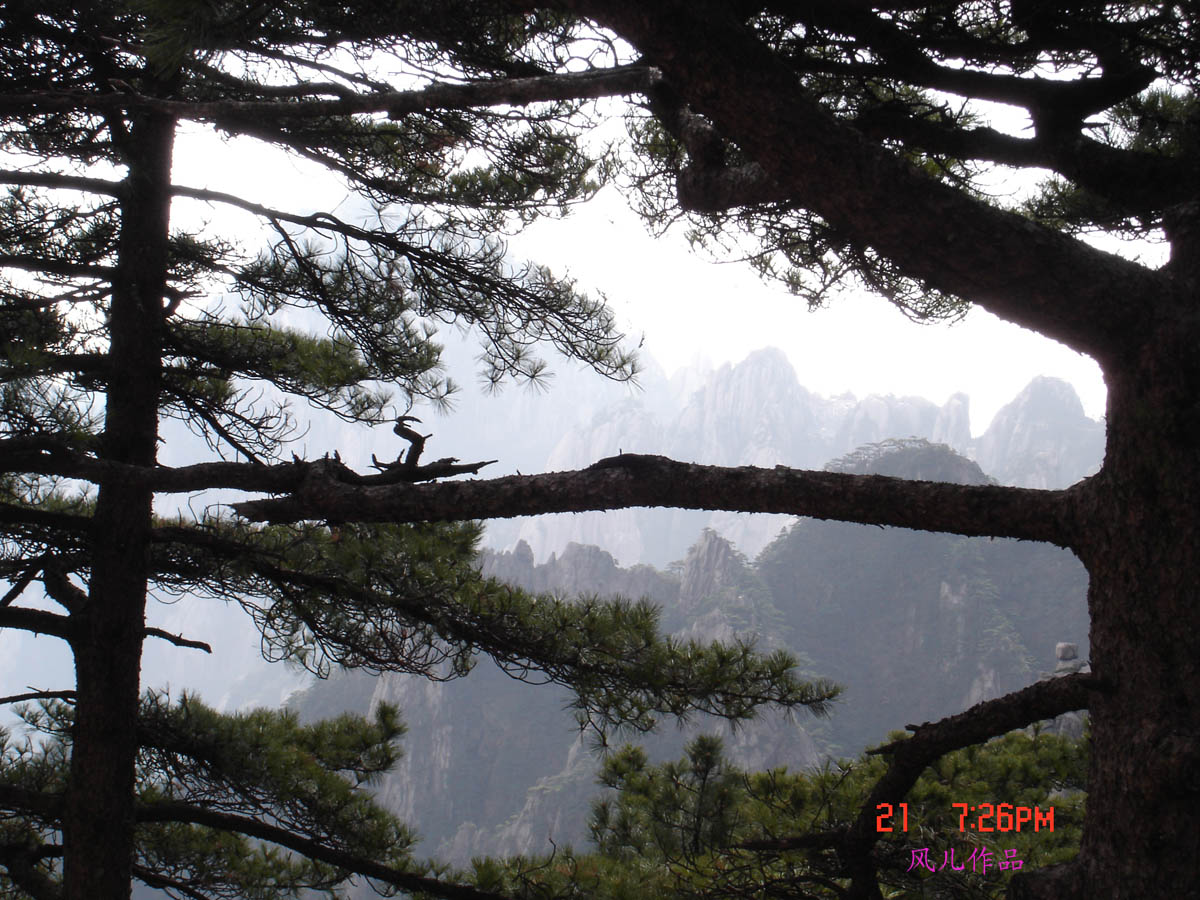 风儿~~~黄山行