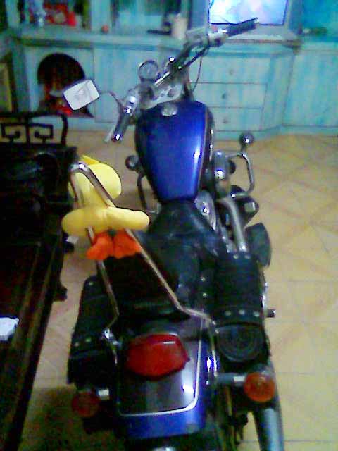 [贴图]出售 : Steed 400(本田巡逻车 400CC) (珠海)