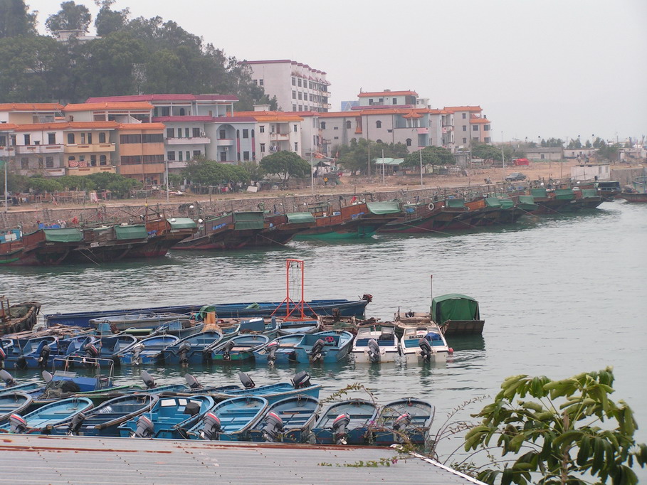 深圳澳头交流聚会