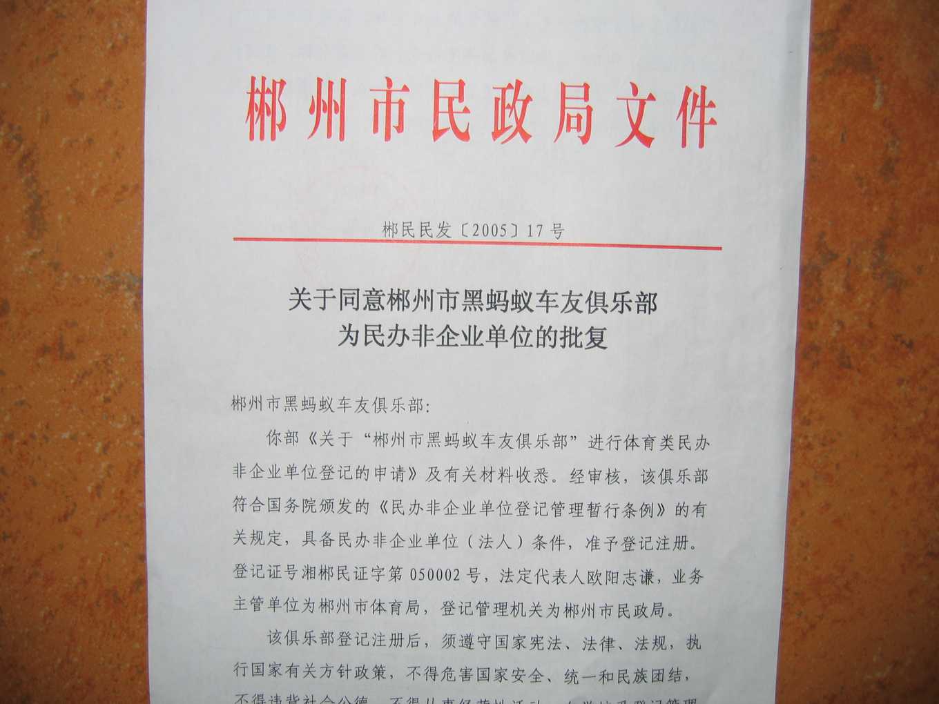 黑蚂蚁