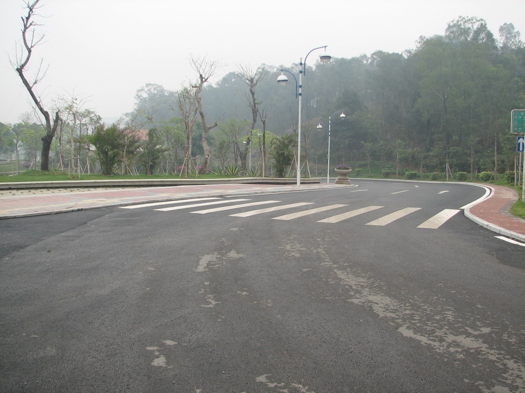 三水森林公园靓路专辑