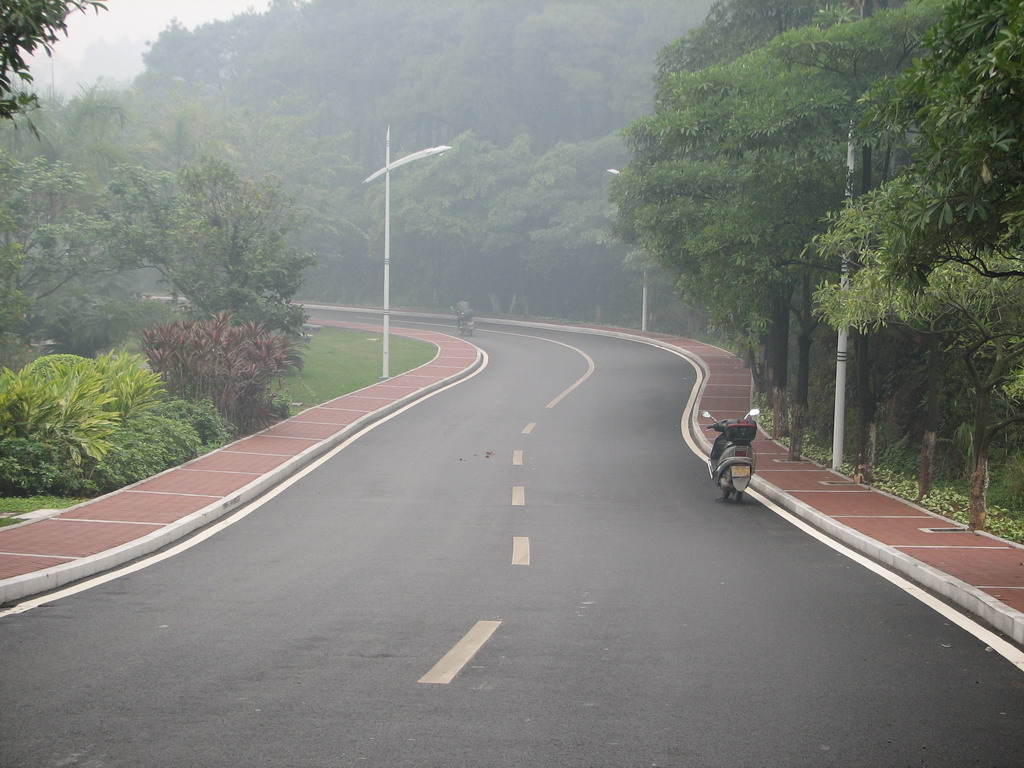 三水森林公园靓路专辑