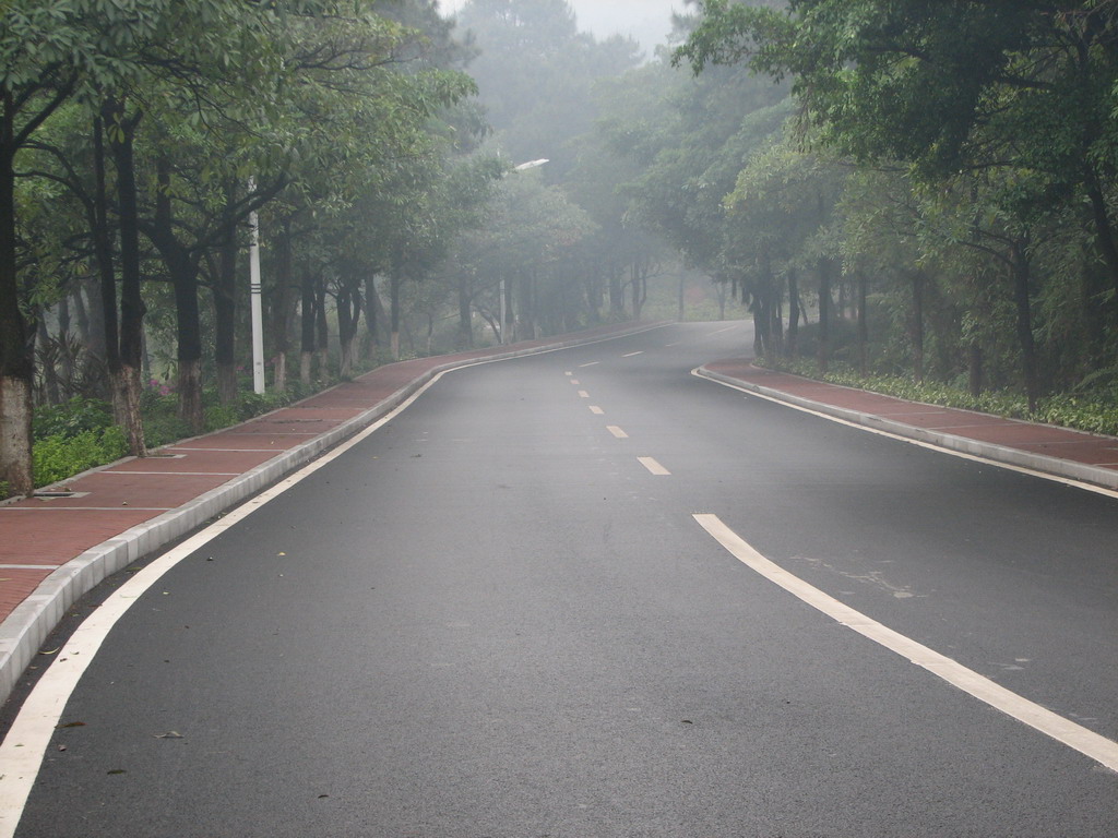 三水森林公园靓路专辑