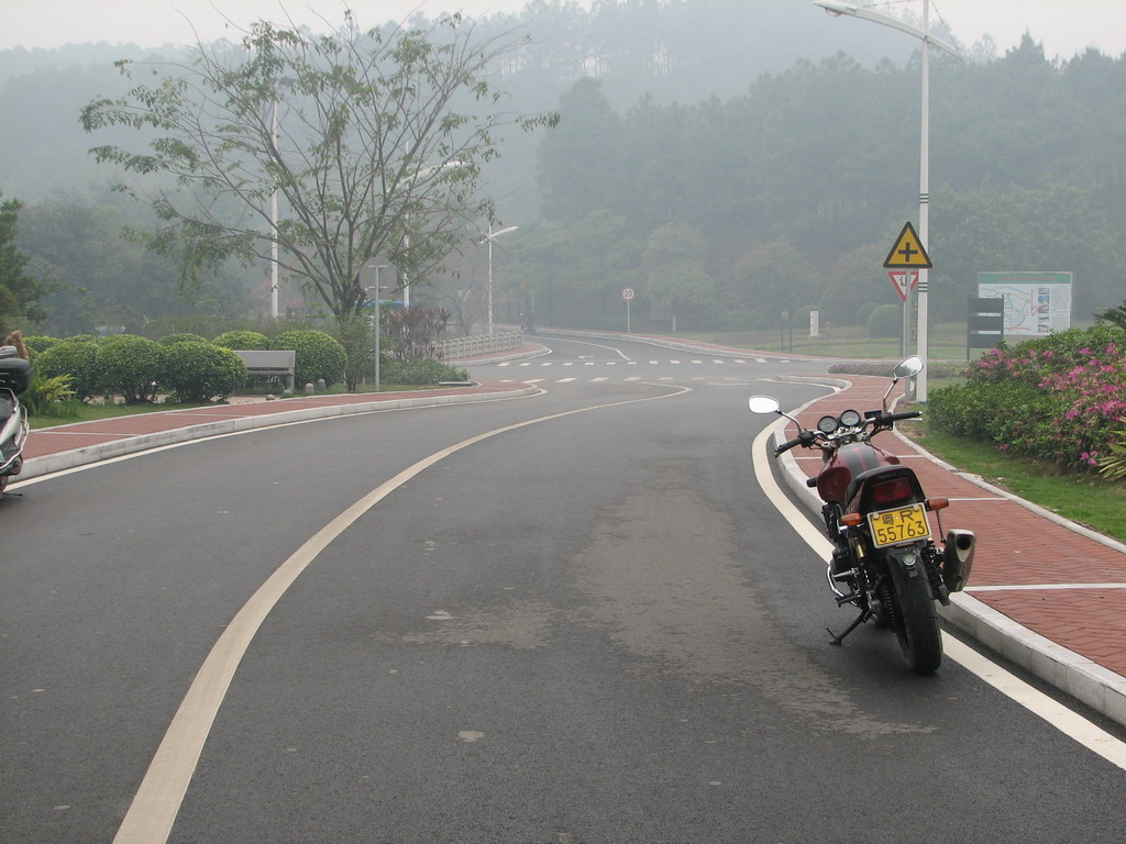 三水森林公园靓路专辑