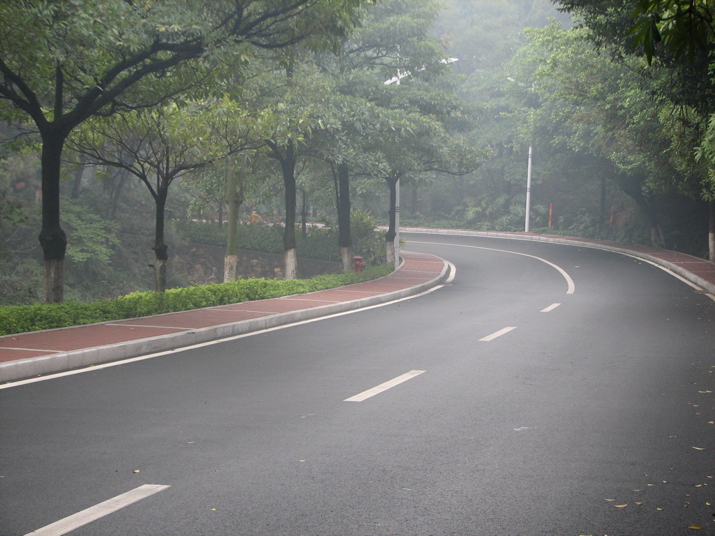 三水森林公园靓路专辑