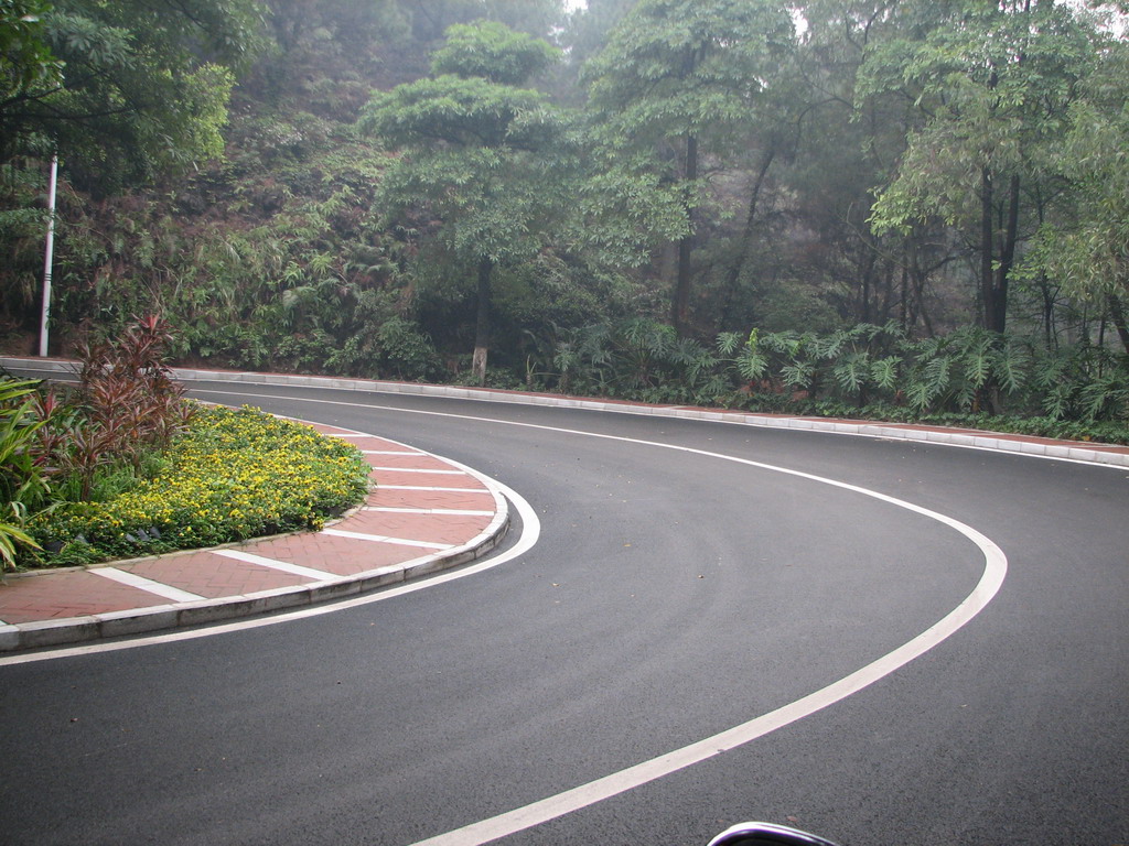 三水森林公园靓路专辑