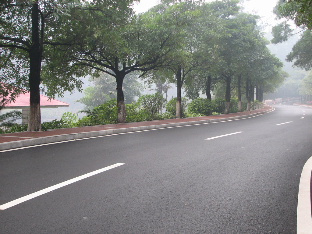 三水森林公园靓路专辑