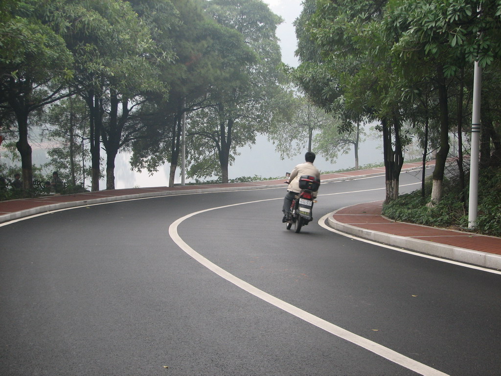 三水森林公园靓路专辑