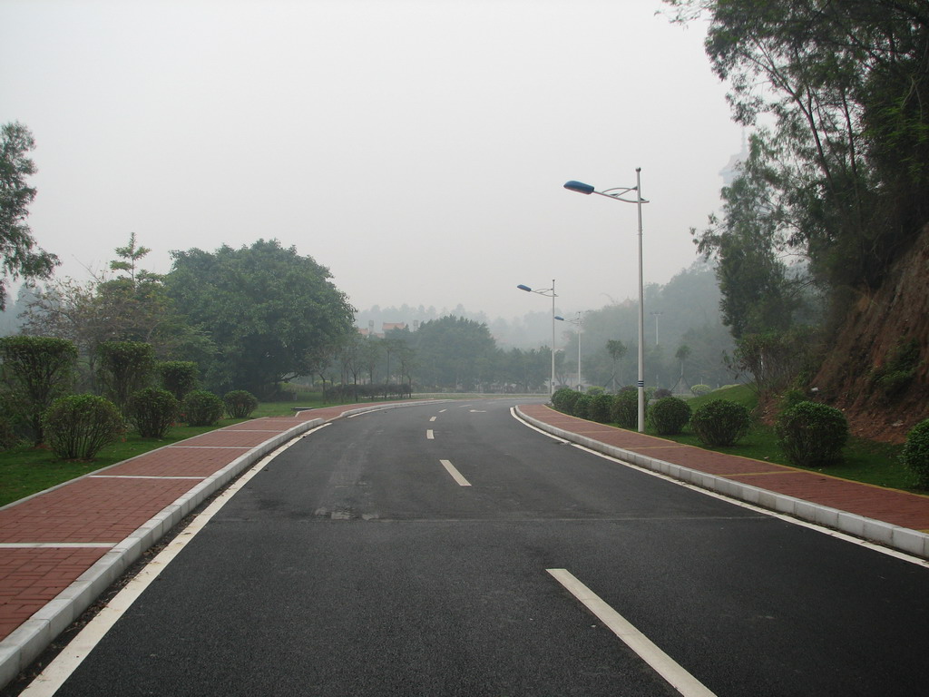 三水森林公园靓路专辑