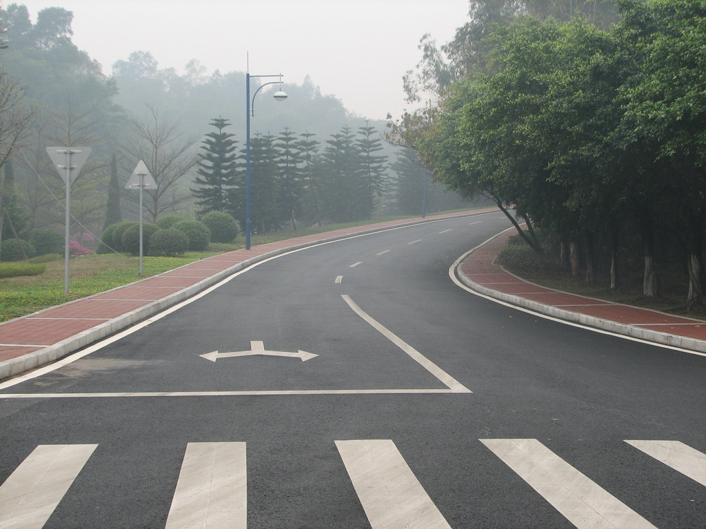 三水森林公园靓路专辑