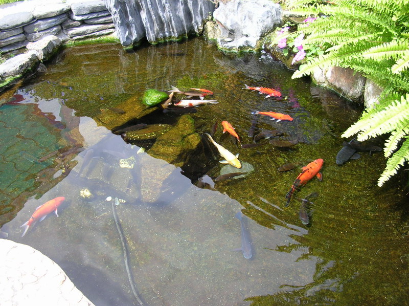 臺東溫泉行日記 (台湾车友)
