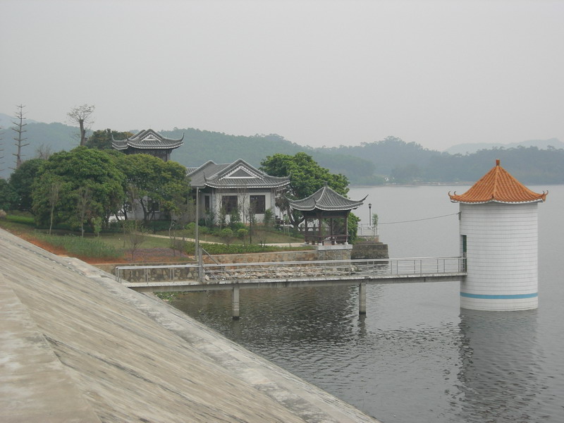 三八节骑在她身上在野外爽了一回
