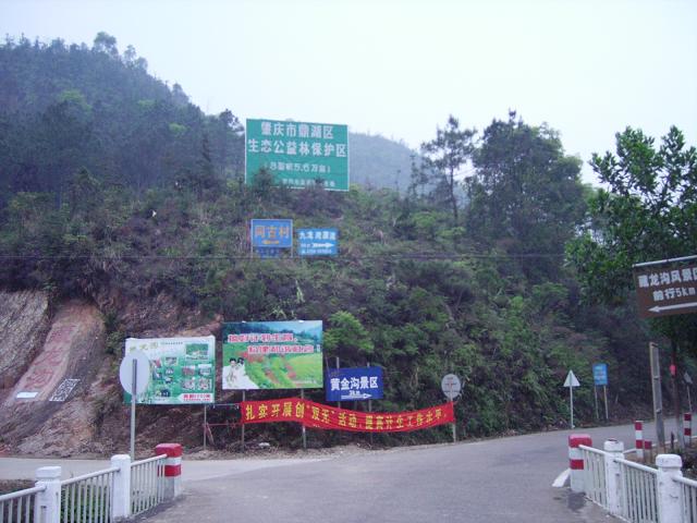 今天去鼎湖玩~~~~