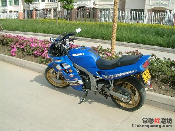 国产大排(合法就是好)