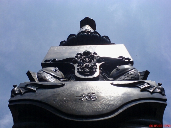 兄弟们`我从山上做野人回来啦``