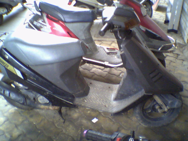 SUZUKI棉羊50C