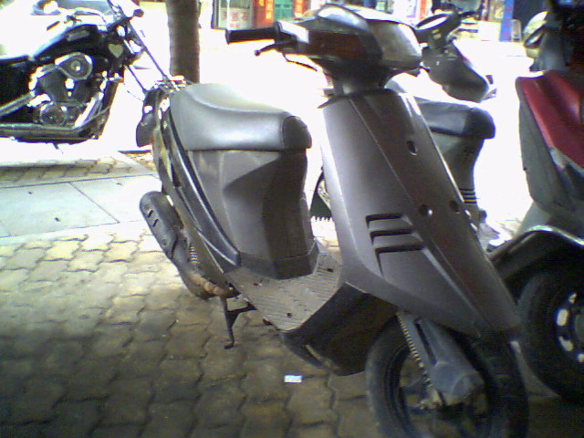 SUZUKI棉羊50C