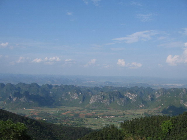 沿边公驴