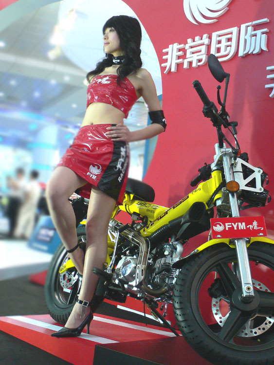 西风日下,美女伦亡!