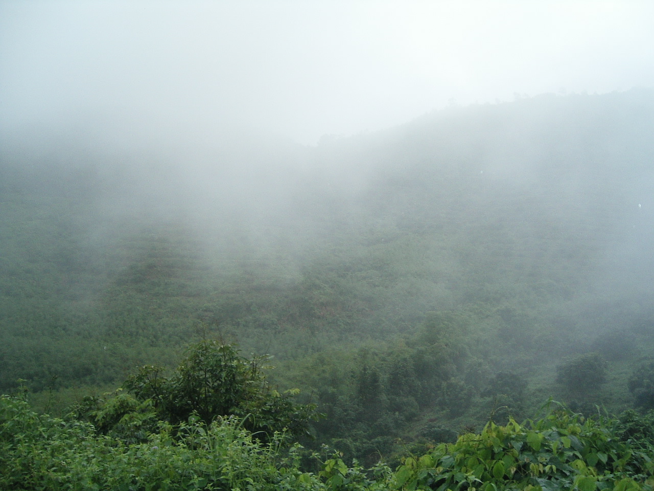 今天实在无聊！和同学开DIO雨中穿越象头山！