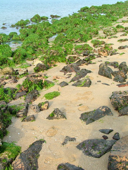 惠东平海年会首选