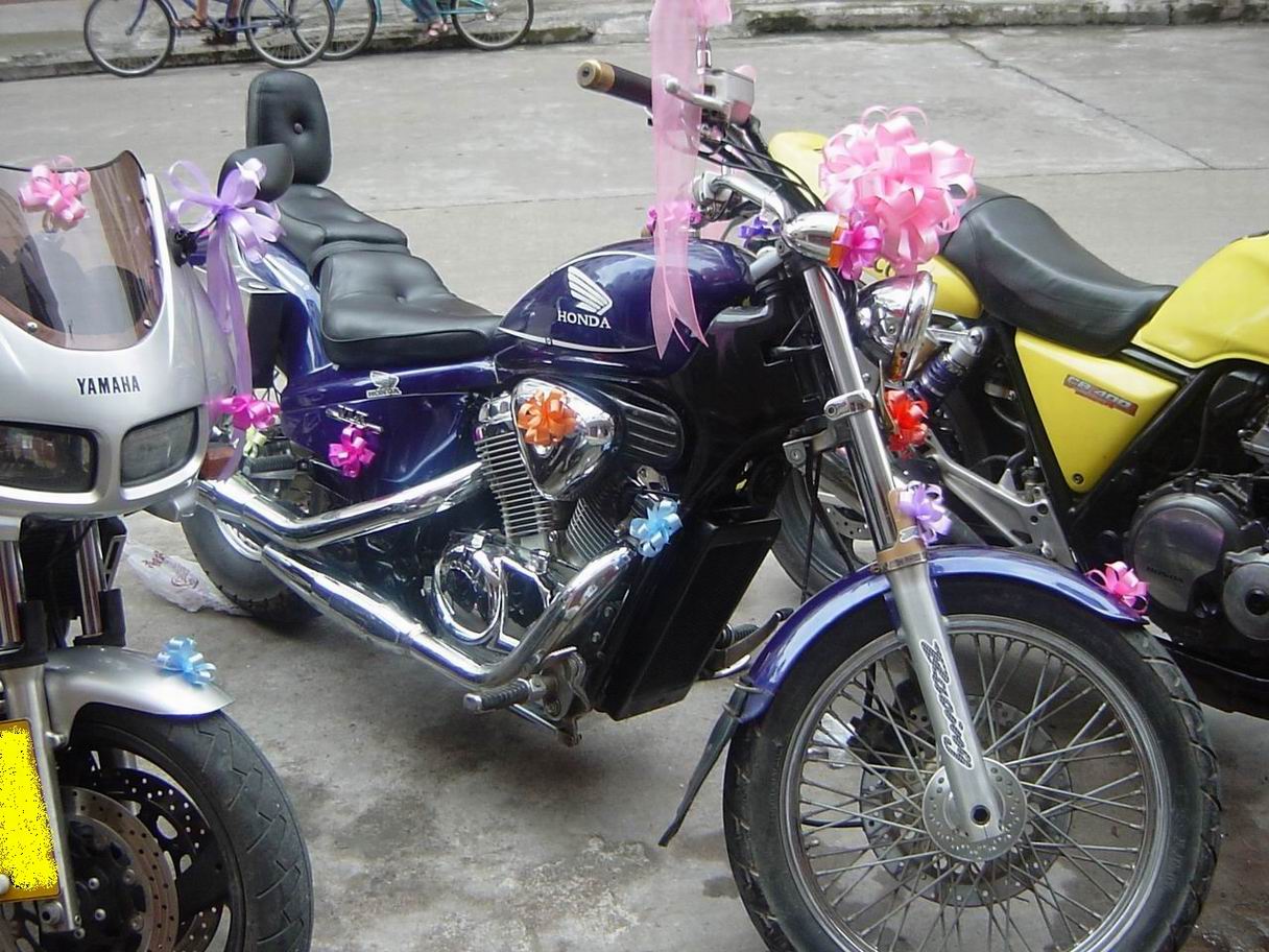 皮皮鲁结婚