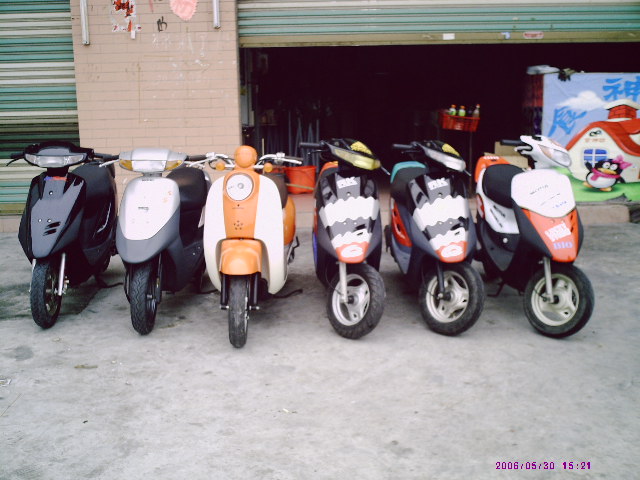 今次去碣石带回的车车!