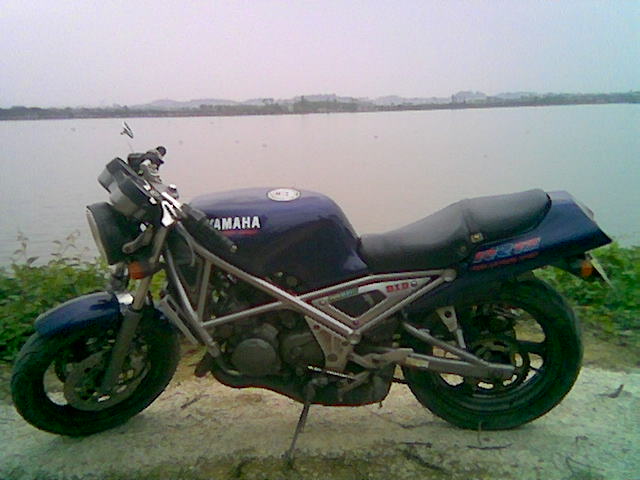 3800出售YAMAHA/250街车..