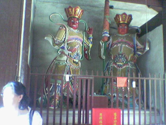兄弟们`我从山上做野人回来啦``