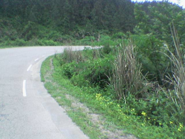 兄弟们`我从山上做野人回来啦``