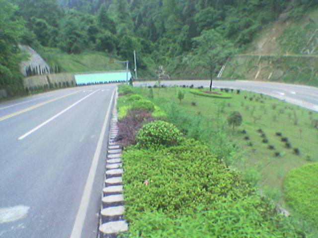 兄弟们`我从山上做野人回来啦``