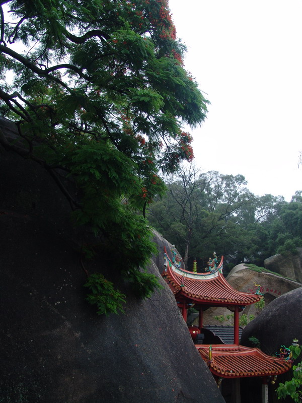 [贴图]漫步雨中武夷山