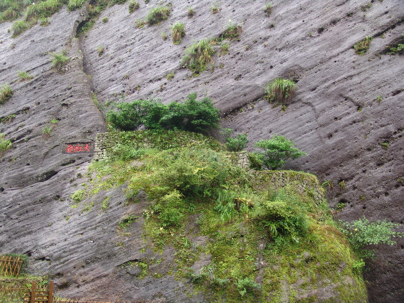 [贴图]漫步雨中武夷山