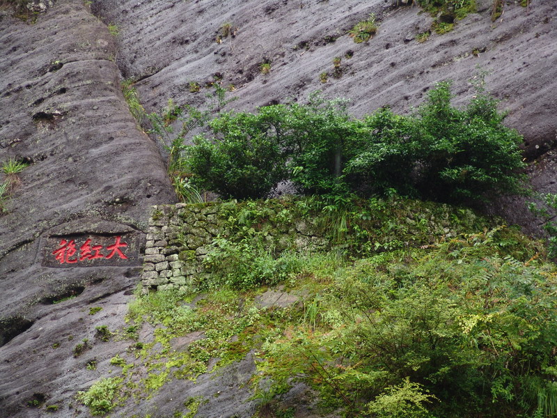 [贴图]漫步雨中武夷山