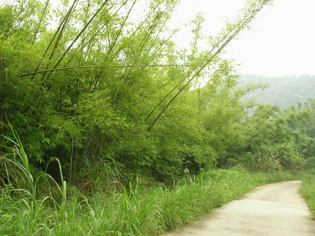 [贴图]越野心情