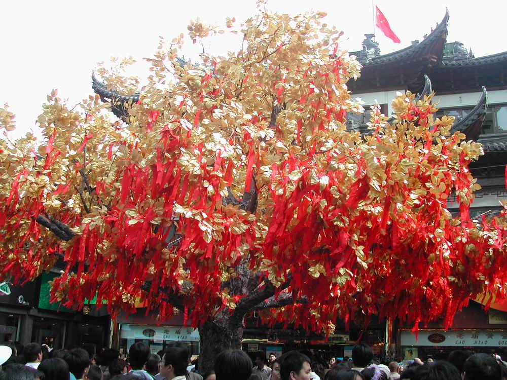 [贴图]上海ＧＰ（三天两夜万宝路赞助双人双座试乘豪华团）ＰＰ