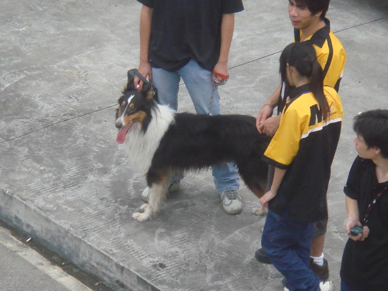 [贴图]M2年会全程记录~