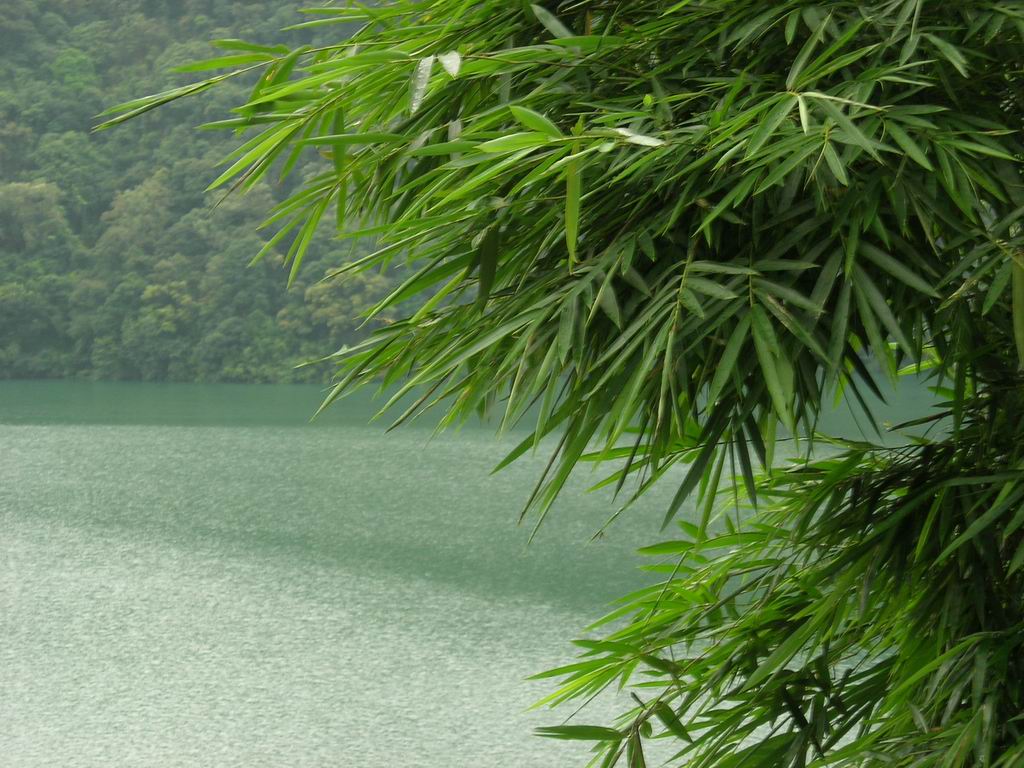 [原创]溪头归来心乐透(从化溪头村探路)