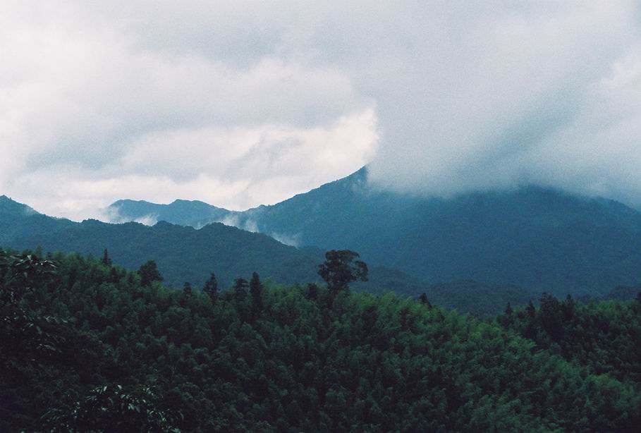 [原创]微雨心情