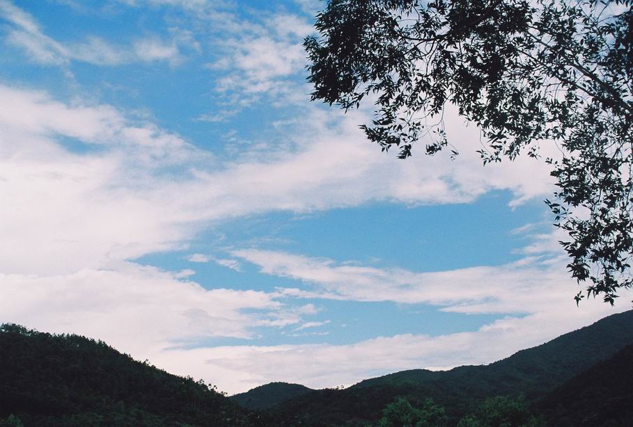 [原创]微雨心情