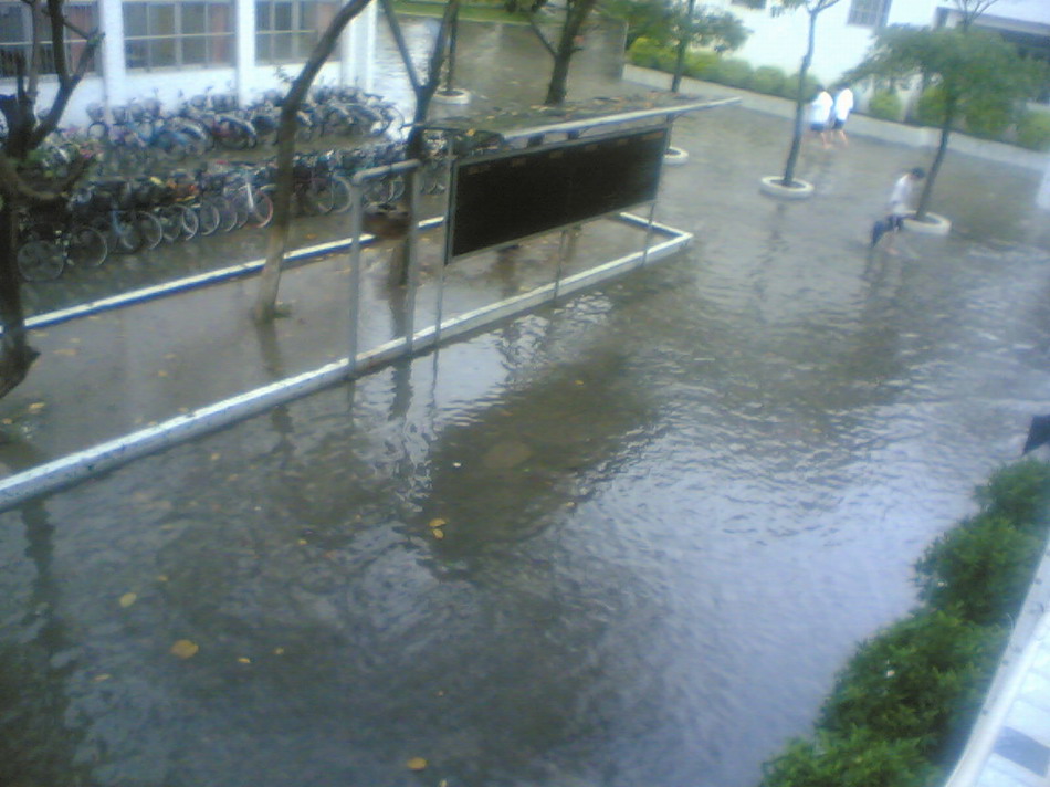 雨的湿润~威尼斯的学校