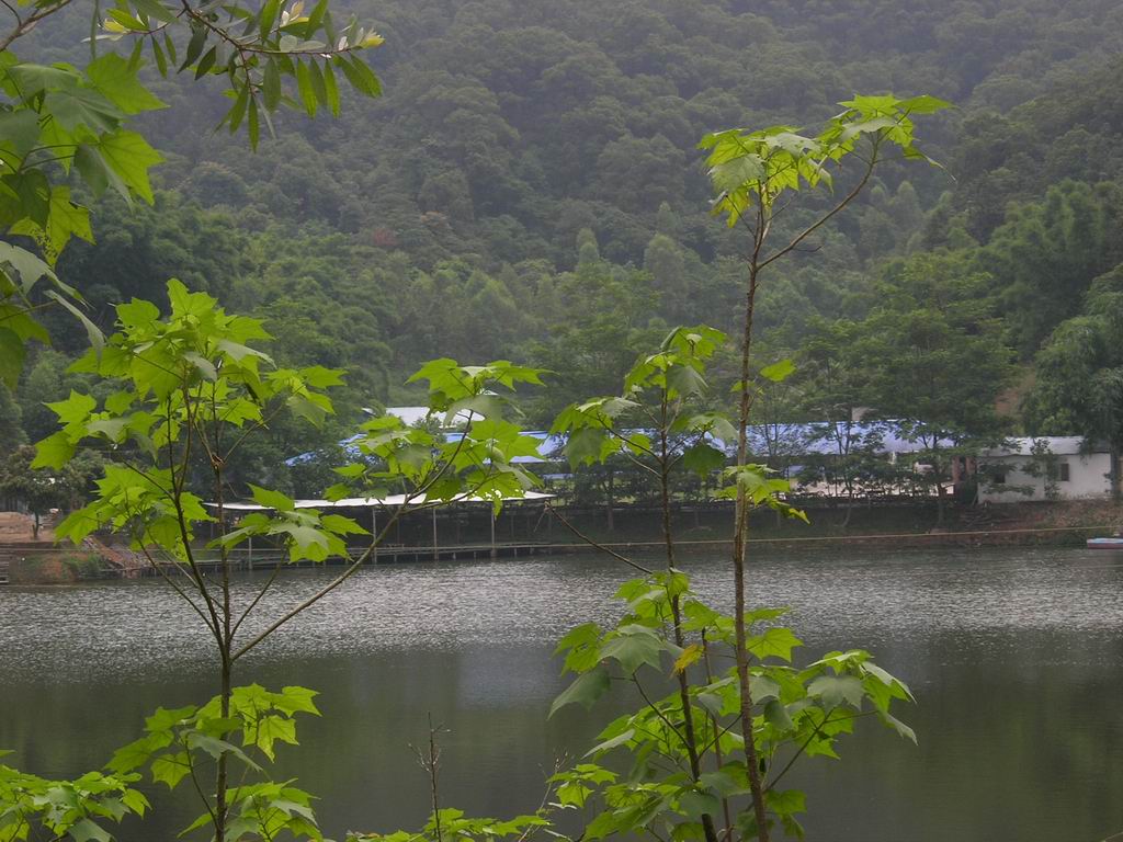 [原创]寻找极野狂速的过其实很温柔