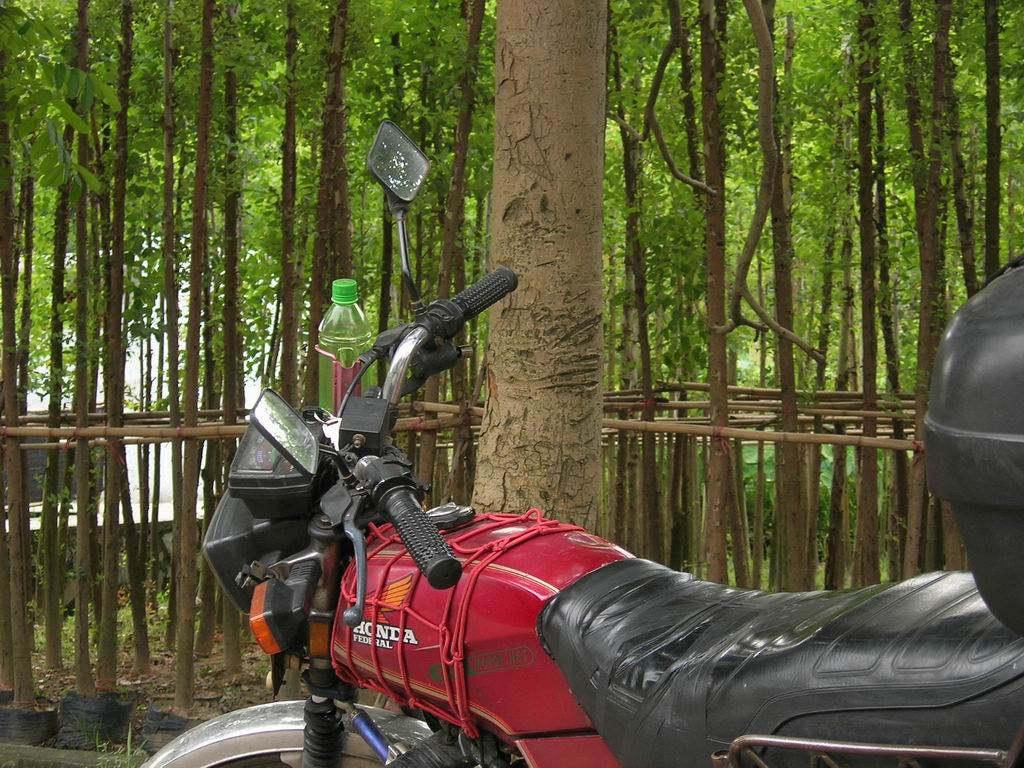 [原创]寻找极野狂速的过其实很温柔