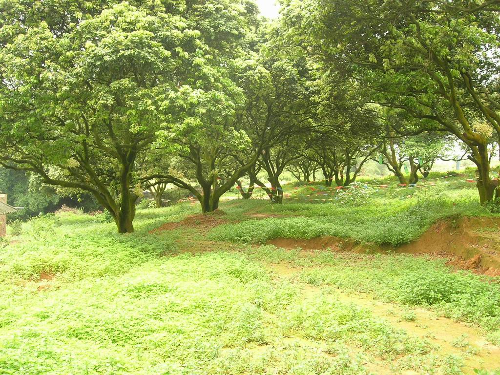 [原创]寻找极野狂速的过程其实很温柔