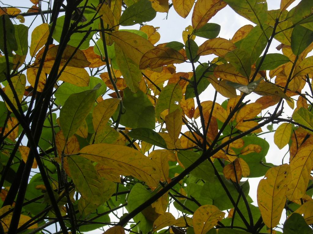 [原创]寻找极野狂速的过程其实很温柔