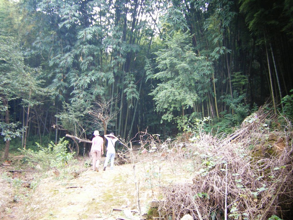 20060723大暑大戰南昆山!!慢慢加字更新PP
