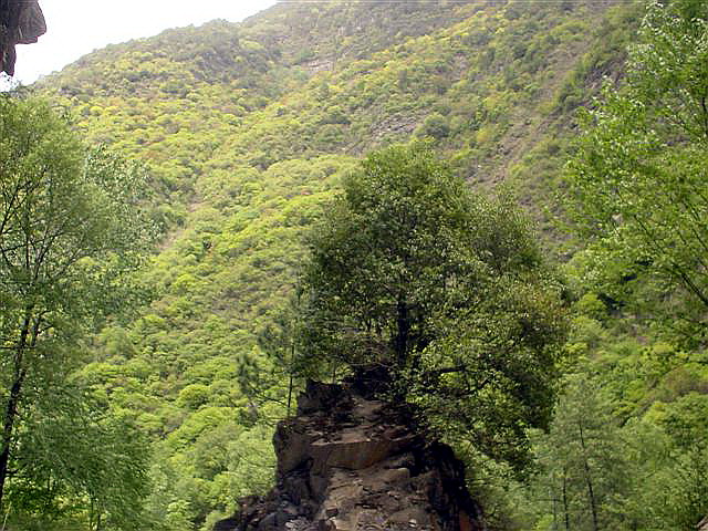 [原创]第一次翻越巴郎山、折多山