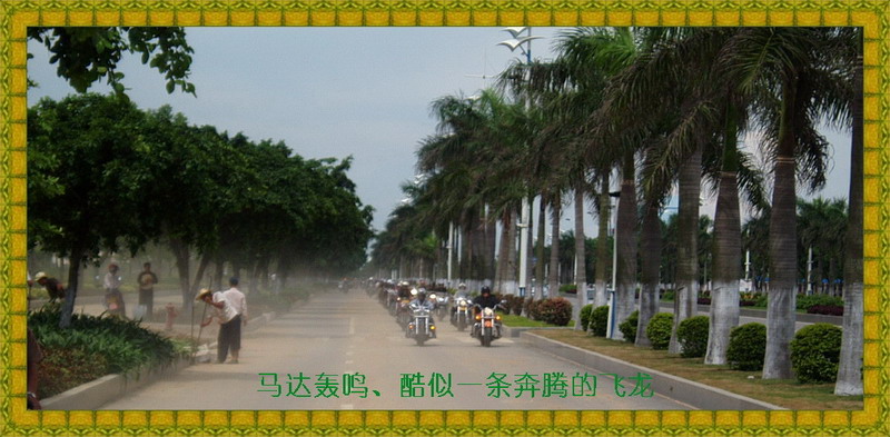 [贴图]