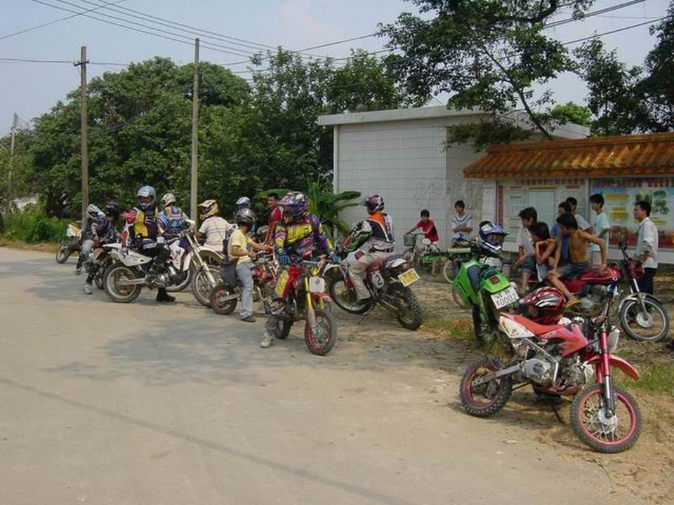 Tllx2Emx.jpg